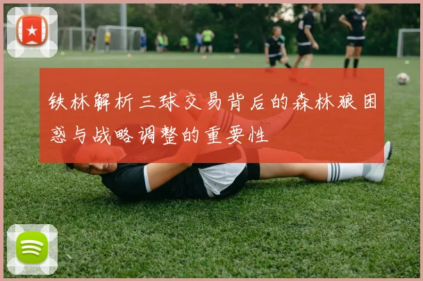 铁林解析三球交易背后的森林狼困惑与战略调整的重要性